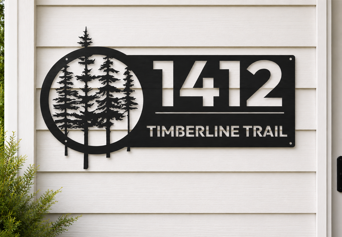 The TIMBER Series