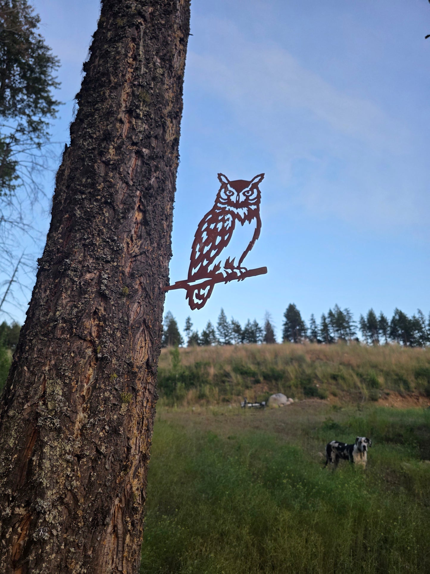 Perch Series, Steel Bird Silhouettes