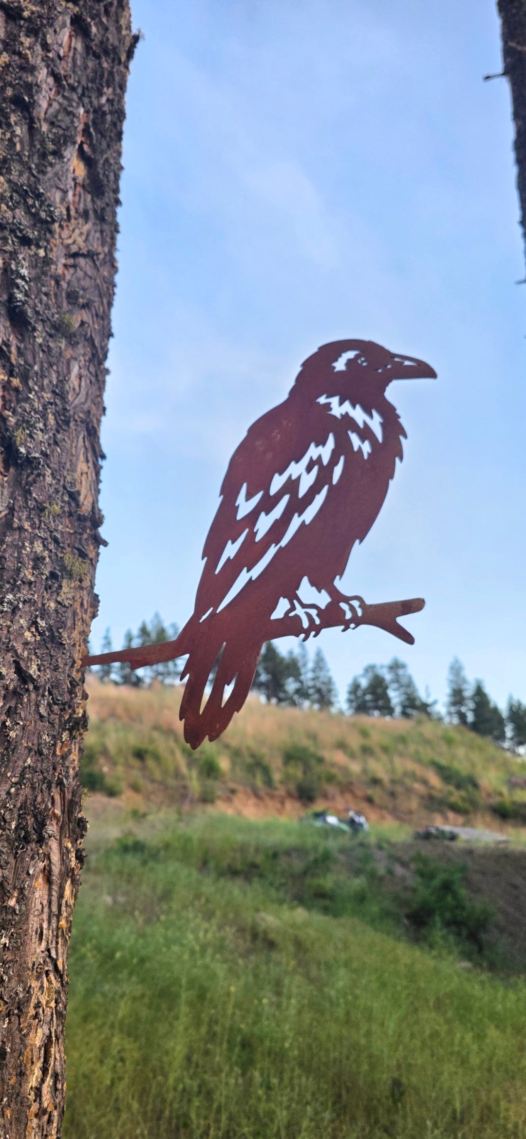 Perch Series, Steel Bird Silhouettes